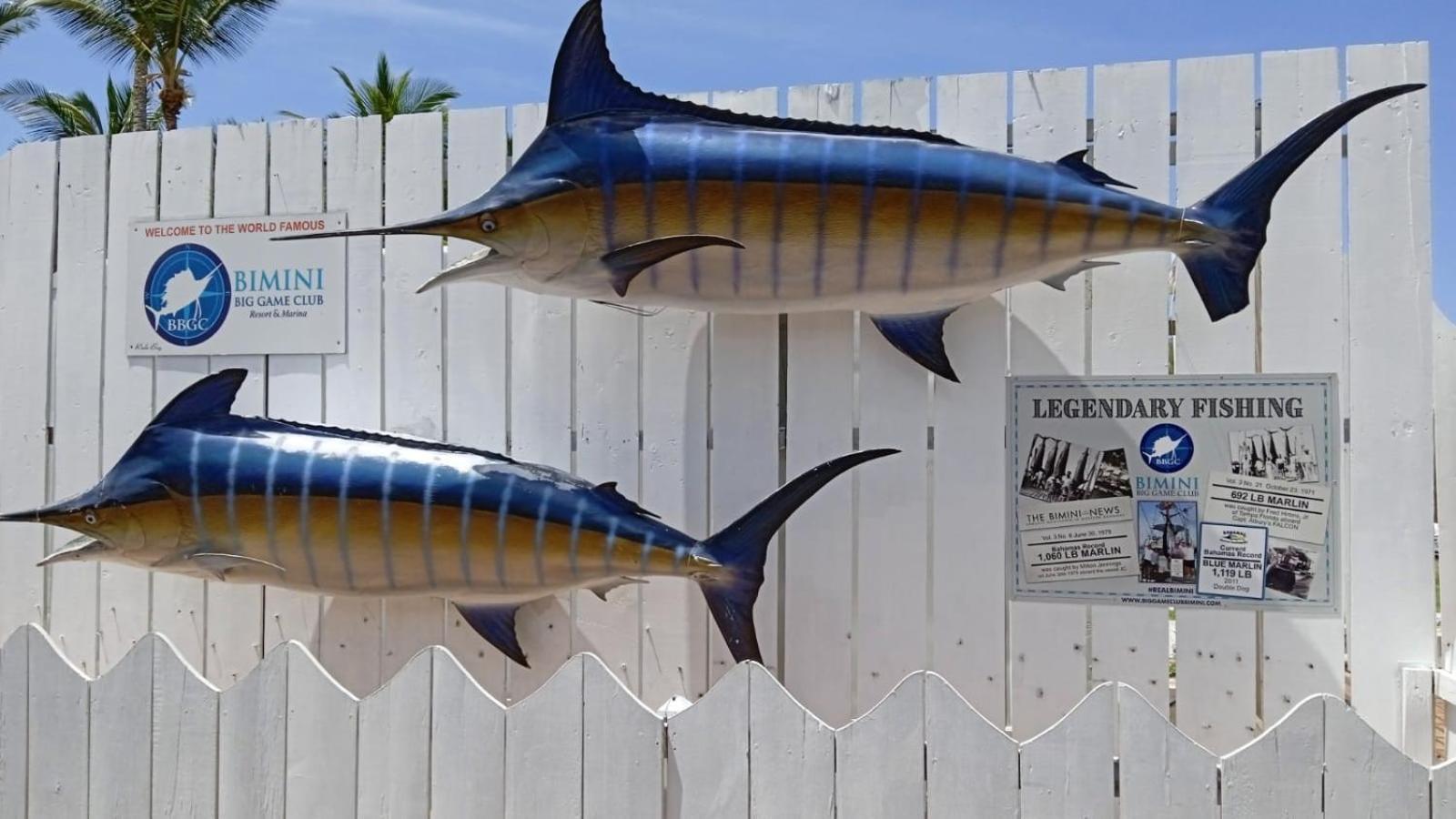 Bimini Big Game Club Resort & Marina Alice Town  Exterior photo